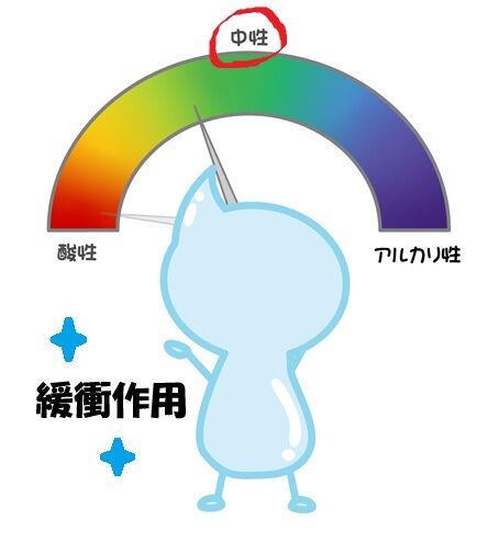 唾液の役割、緩衝作用
