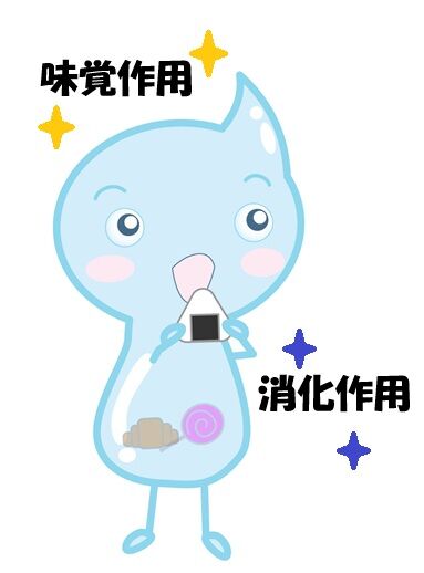 唾液、味覚作用、消化作用