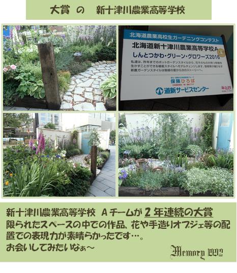 札幌ドーム 大通公園花フェスタに アンティーク Garden雑貨 Memory1992のブログ 札幌ドーム 大通公園花フェスタに アンティーク Garden雑貨 Memory1992のブログ