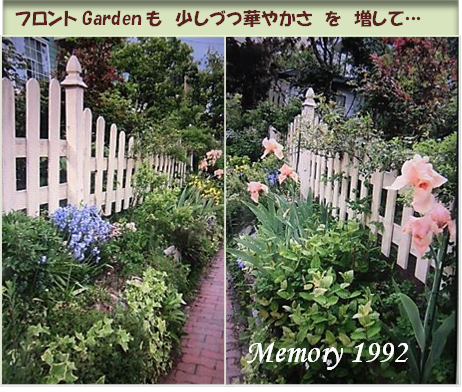 フロントGardenも華やかに