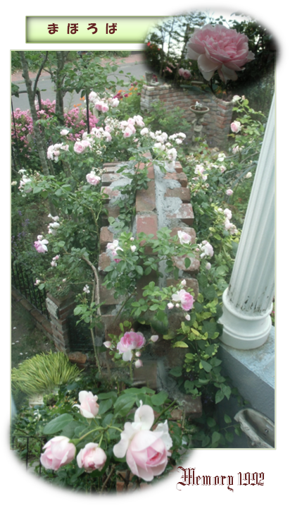 薔薇の庭から アンティーク Garden雑貨 Memory1992のブログ 薔薇の庭から アンティーク Garden雑貨 Memory1992のブログ