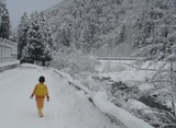 雪道