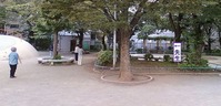 画像-0494_stitch