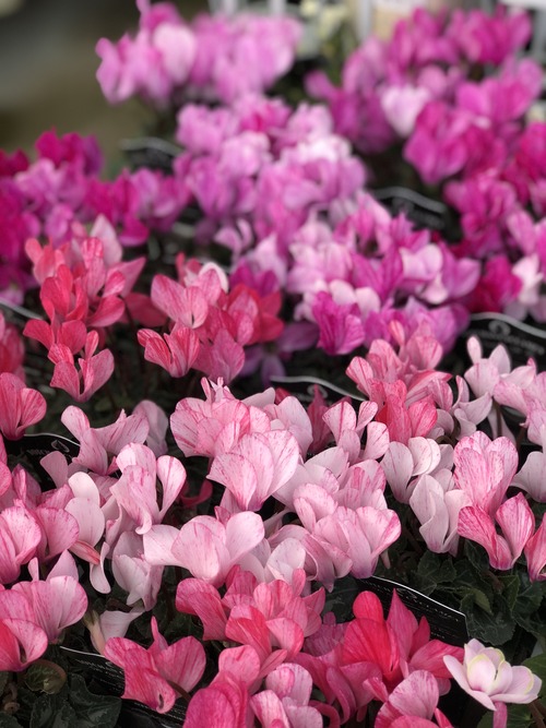 01008CE2-D112-4D65-B6F4-C640F7C4A78B