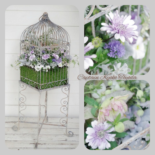 InShot_20220312_175924540