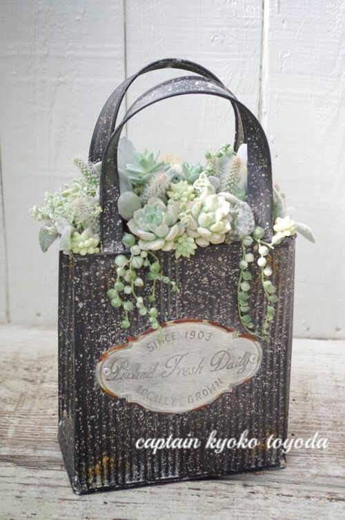 トヨダblog フラワーガーデン花音