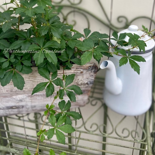 8AE194D5-FF56-4B05-8AB8-A9F9D4960DDC