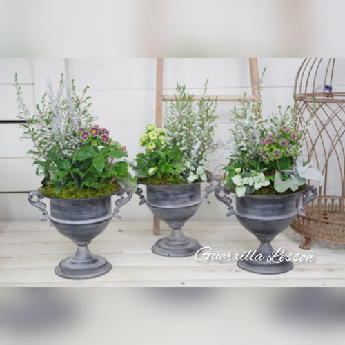 InShot_20220207_200239140