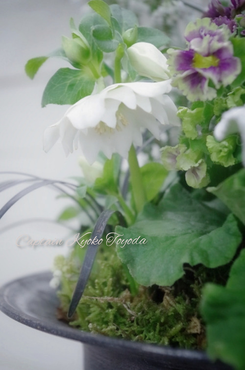 InShot_20220206_192425439