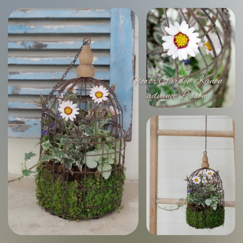 InShot_20220313_170314897