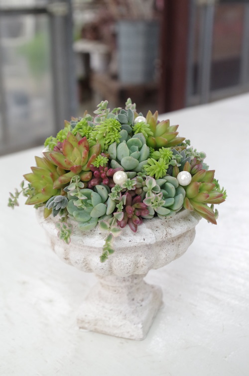 IMGP0103