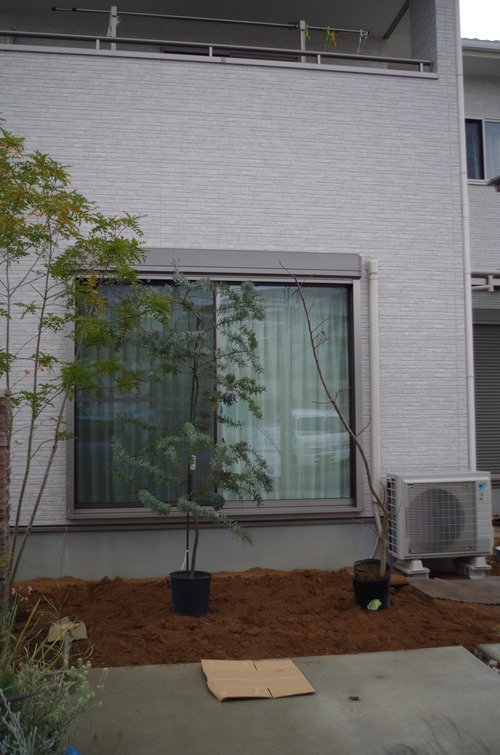 IMGP0904