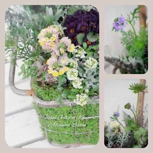 InShot_20220315_171620150