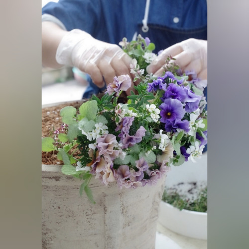 InShot_20220118_190123167