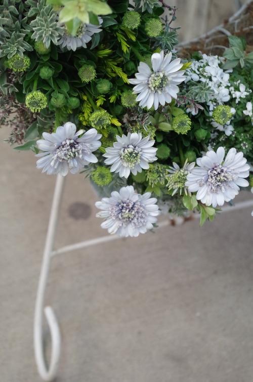 IMGP0034