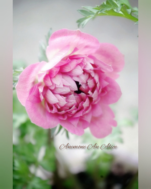 InShot_20220226_135318904