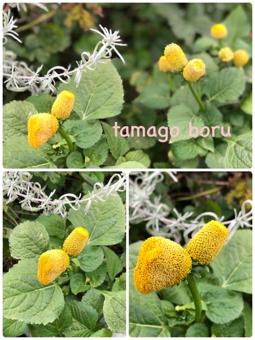 6602B754-C86A-45DB-BA46-80C35BBDA8FB