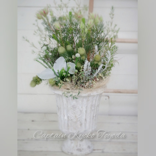 InShot_20220131_183536317