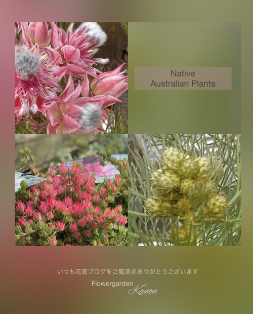 12AA93B1-8028-4FAB-95B1-8BC952B9FD61