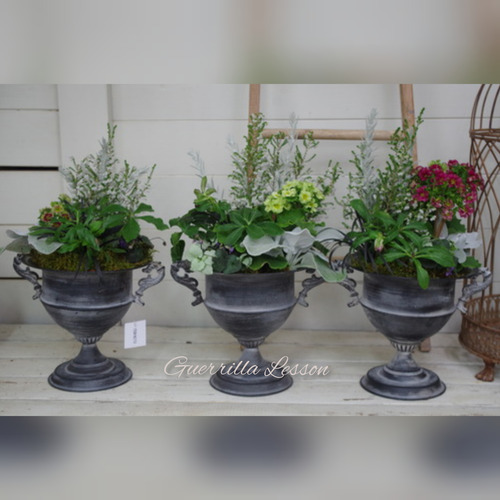 InShot_20220207_195959291