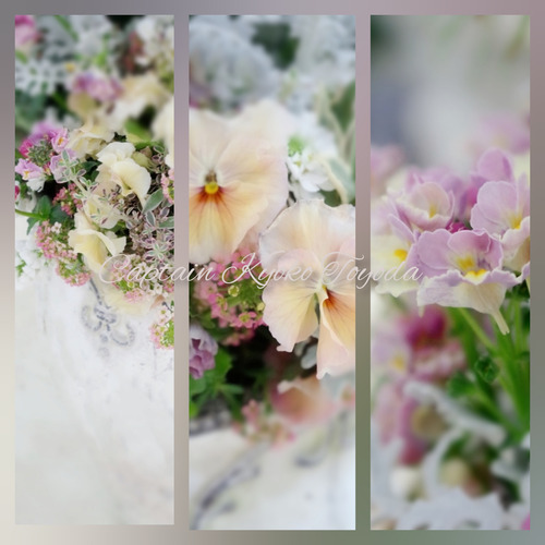 InShot_20220217_133025462