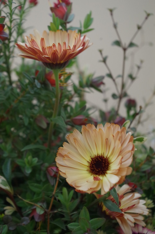 IMGP0640