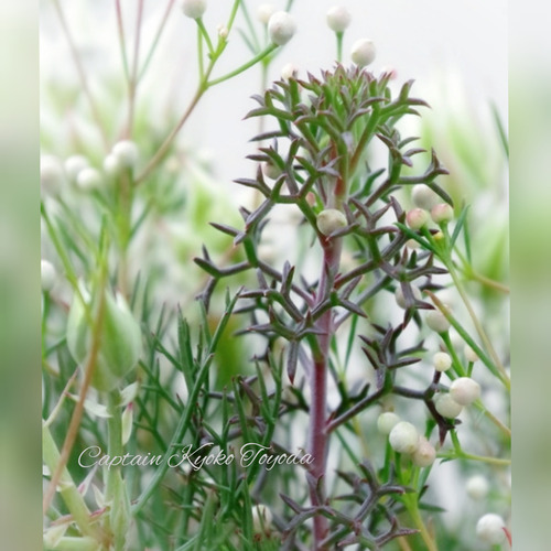 InShot_20220131_185221474