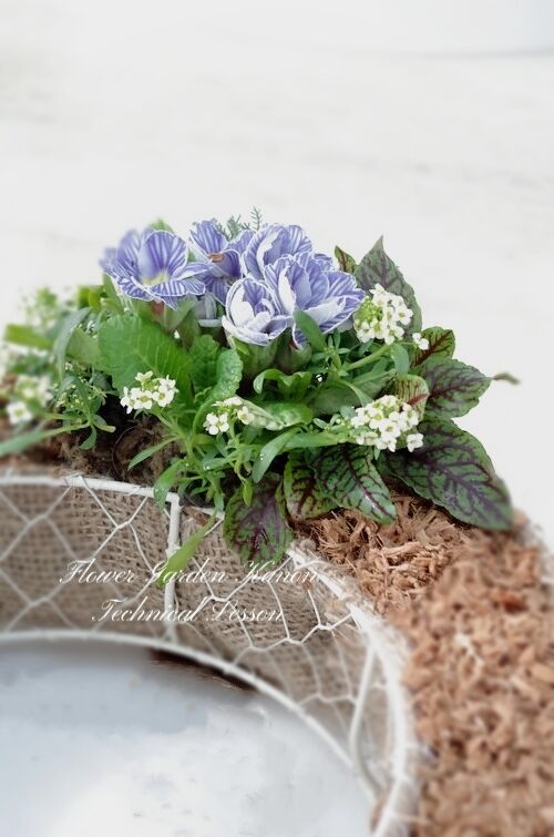 BeautyPlus_20220218194003606_save