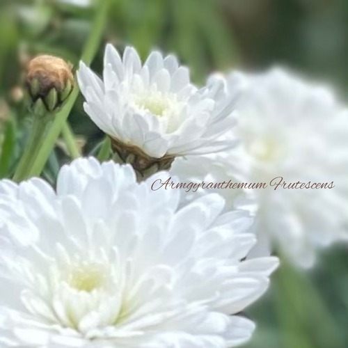 055DC543-1DB9-4CBA-92EE-BA18F74C9DB0