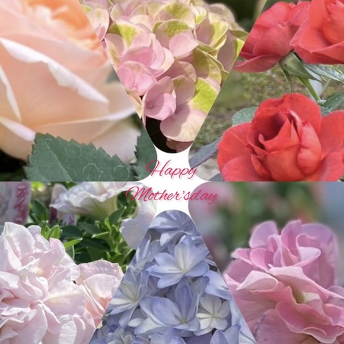 8868AC5A-D133-46EB-9B5D-05010BF68E59