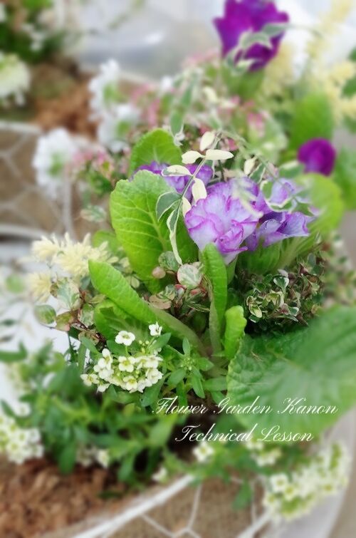 BeautyPlus_20220218191354376_save