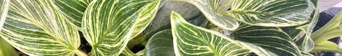 0D3D60D9-FBC4-4D12-BC21-E0B9212C9B37