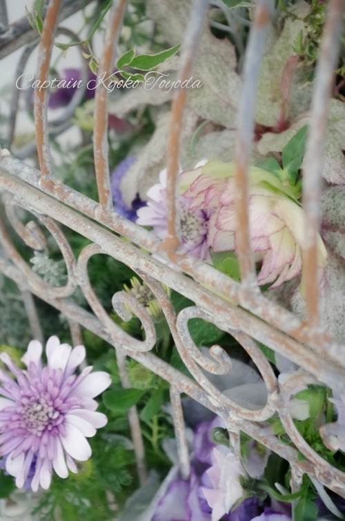 InShot_20220312_175040485