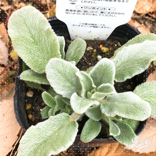 47C48521-A767-4921-A164-CEA2751A60E8