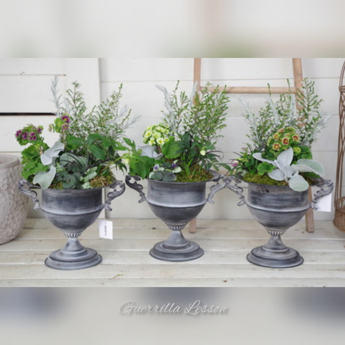 InShot_20220207_200628591