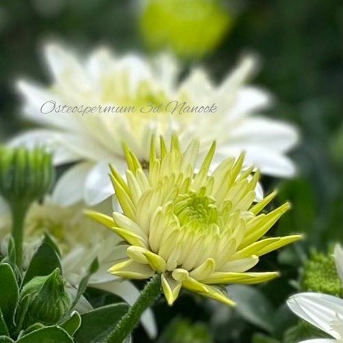 26FFB6BF-7E4B-4187-ADE8-A83087A6E2F1