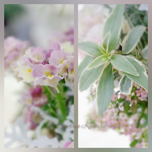 InShot_20220217_120613142