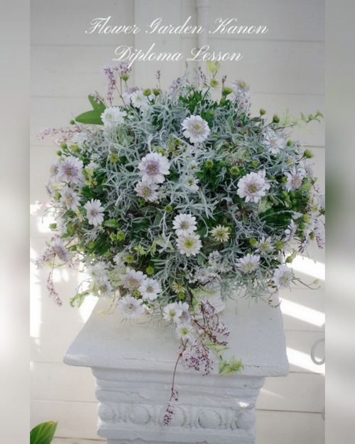 InShot_20220228_190221555