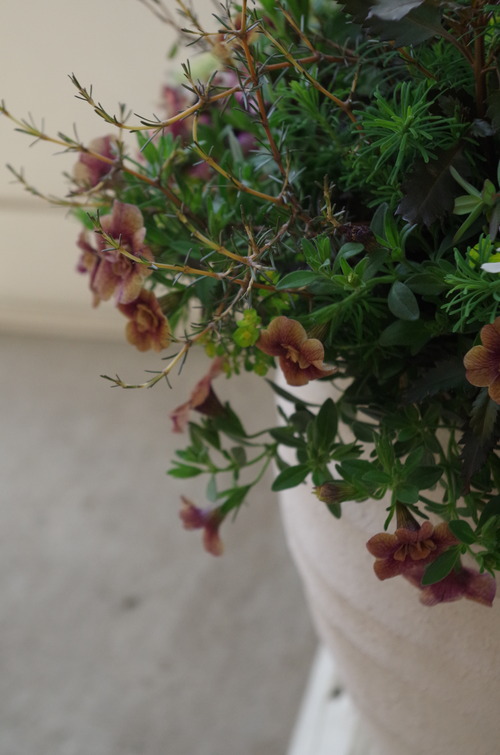 IMGP0653