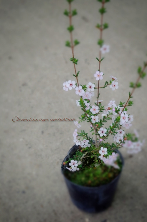 InShot_20220221_210804904