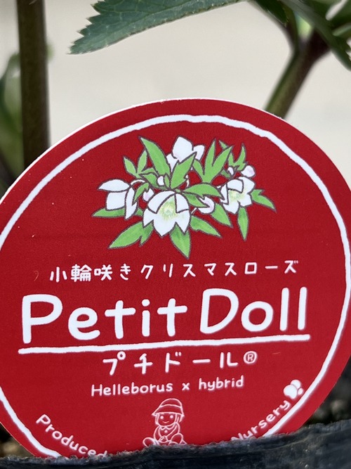 03258CD7-94D9-42C4-A929-F960CC0959EB