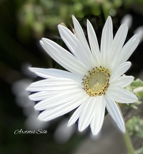 295A4670-8CCB-4D2E-AD80-095AEEA259D7