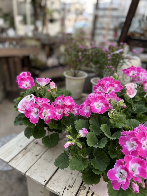 937F9678-0E64-4AEC-8A8B-41D635516714