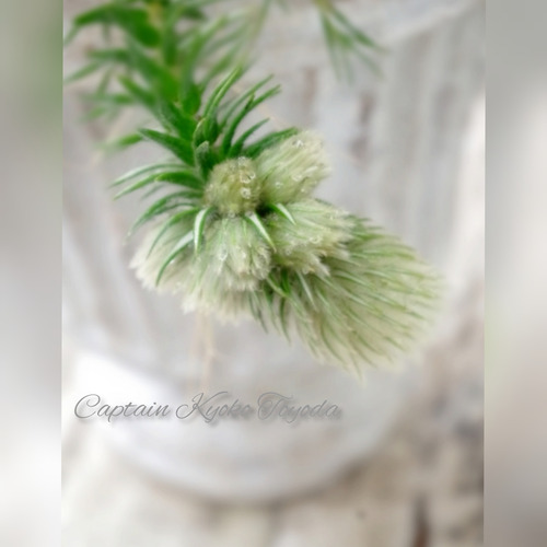 InShot_20220131_184931048