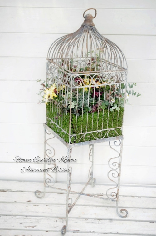 InShot_20220315_171845483