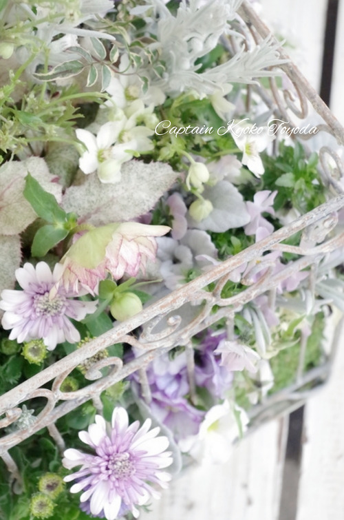 InShot_20220312_182300593