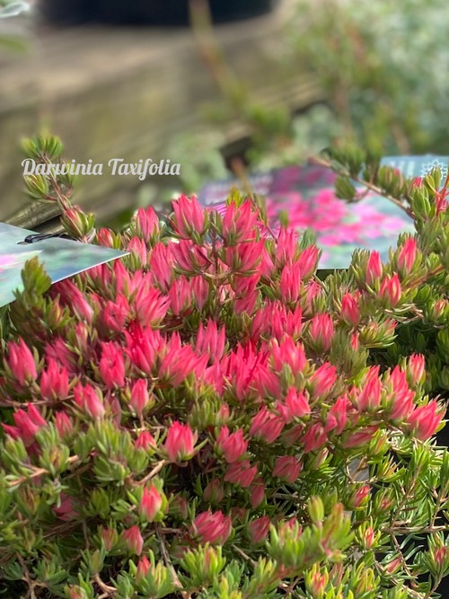 45E5FAEE-0167-42B0-BF5D-6CC964A4C3D3