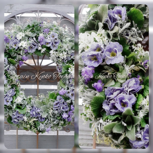 InShot_20220209_132906596