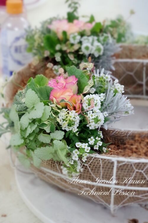 BeautyPlus_20220218191118132_save