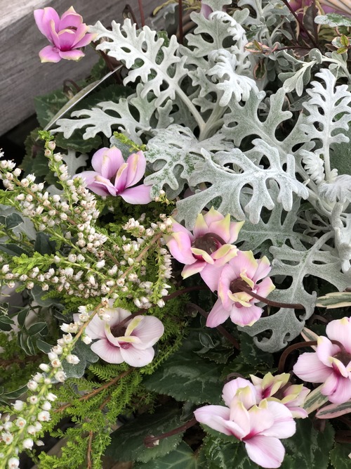 B361F82B-7D85-45F3-8BD7-C02302B82F93